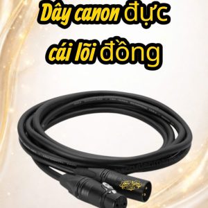 DÂY MICRO 2 ĐẦU CANON